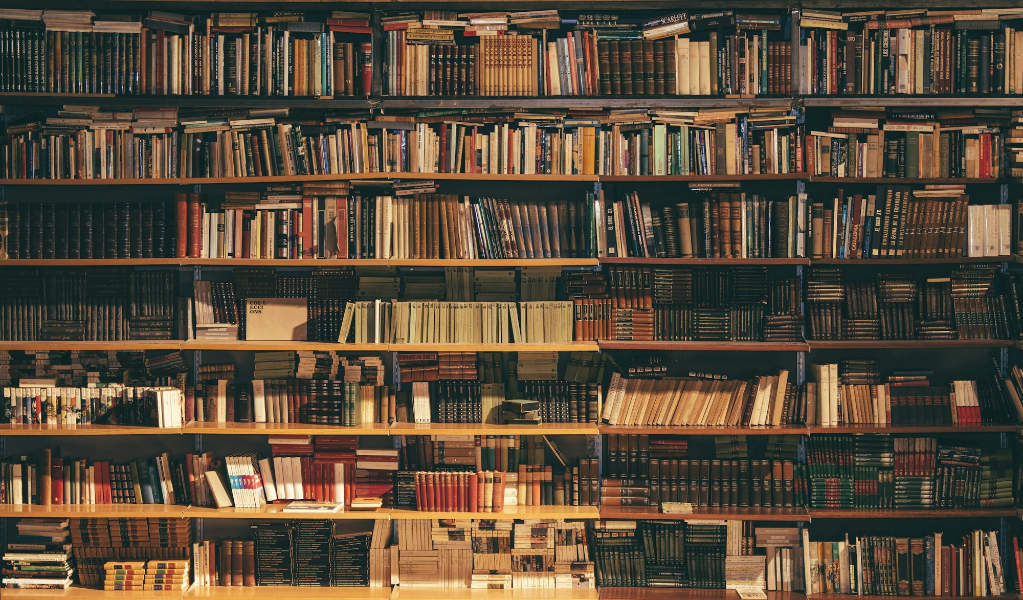 Scaffali di una biblioteca giuridica